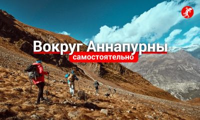 Отель последние статьи