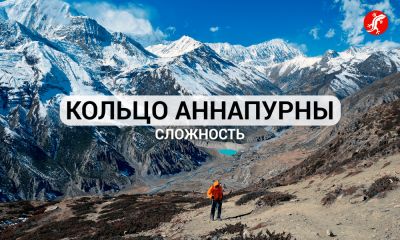 Маршрут последние статьи