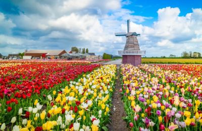 Сезон тюльпанов: как спланировать поездку из Амстердама, чтобы увидеть максимум - gloss.ee - Голландия - Эстония - Амстердам