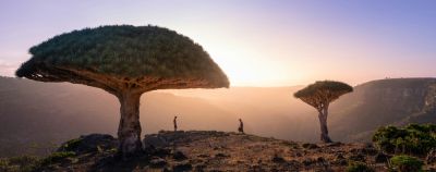 Остров Сокотра: как добраться, виза, сезон и лучшие места - onetwotrip.com - Россия