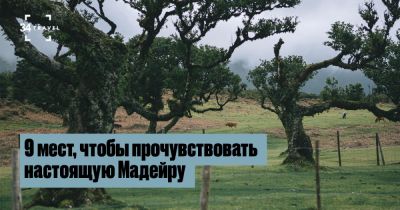 9 мест, чтобы прочувствовать настоящую Мадейру - 34travel.me - Португалия