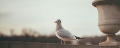 Париж без Эйфелевой башни: 7 секретных мест, о которых знают только местные - onetwotrip.com - Франция - Казахстан - Россия - Армения - Киргизия - Париж