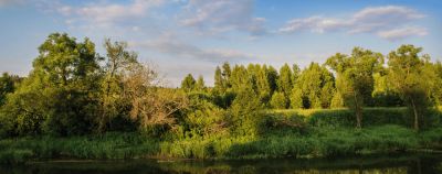 Где купаться в Москве и Подмосковье в 2026 году: 15 чистых пляжей и открытых бассейнов - onetwotrip.com