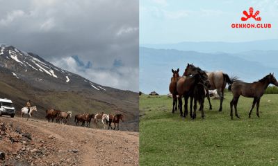 Маршрут последние статьи