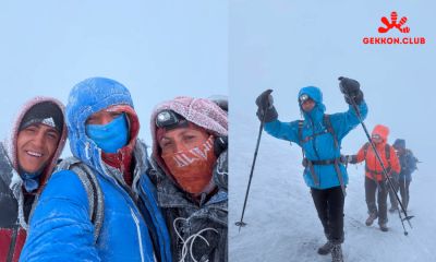 Турция последние статьи