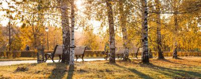 Знаменитости последние статьи